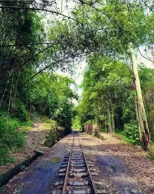 乐山最出名的古镇，乐山旅游必去十大景点推荐一下