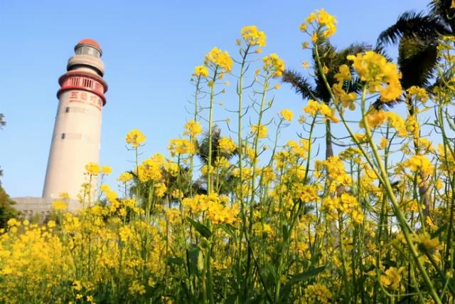 自驾游推荐亲子路线，十大家庭小团自驾