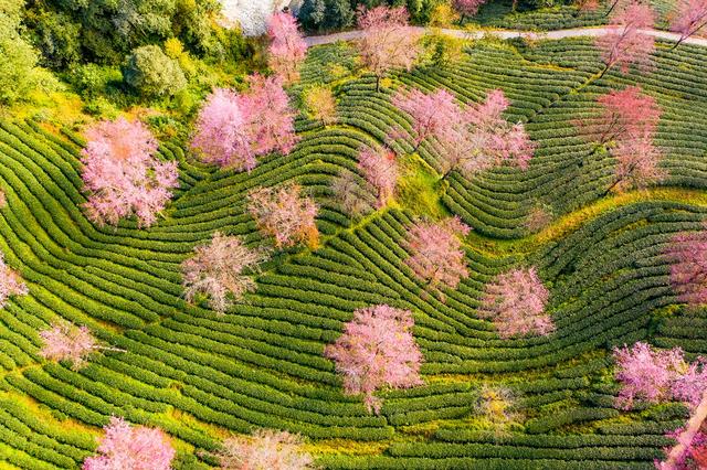 云南这条公路曾拯救国家于危难中，云南最危险的三条公路