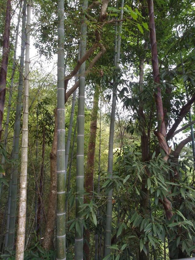 宁波雪窦山，宁波自驾游最佳去处