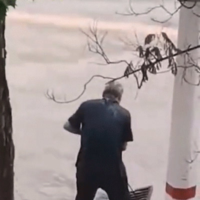 这两天点赞最高的视频，都是从河南发出的