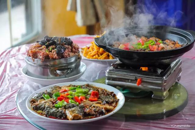 黑龙潭鲶鱼王，电工都搞不定的鲶鱼王