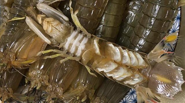 煮皮皮虾煮多长时间可以，煮皮皮虾用凉水还是热水