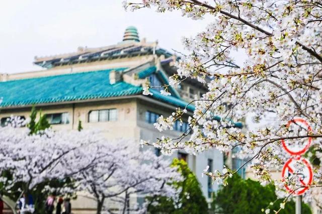 春天踏春赏花时间表，2023春日赏花踏青去哪