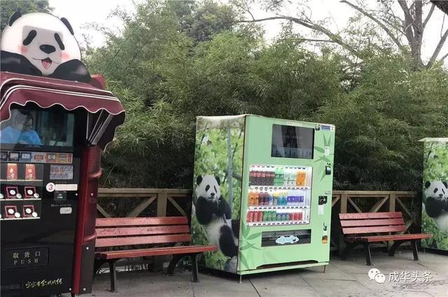 大熊猫太古里，音乐剧《熊猫》将在成都大熊猫繁育研究基地试演