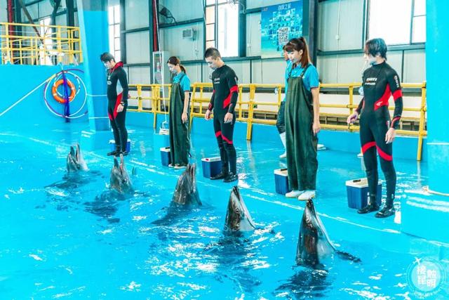 昆明梦幻联邦乐园什么值得玩，昆明周边惊现世界奇迹上的欢乐王国