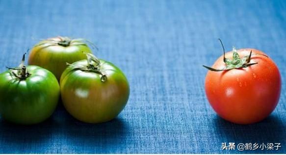 如何辨别正宗西红柿，教你几个挑西红柿的小技巧
