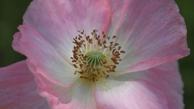 奥林巴斯em1，奥林巴斯em1mark3测评