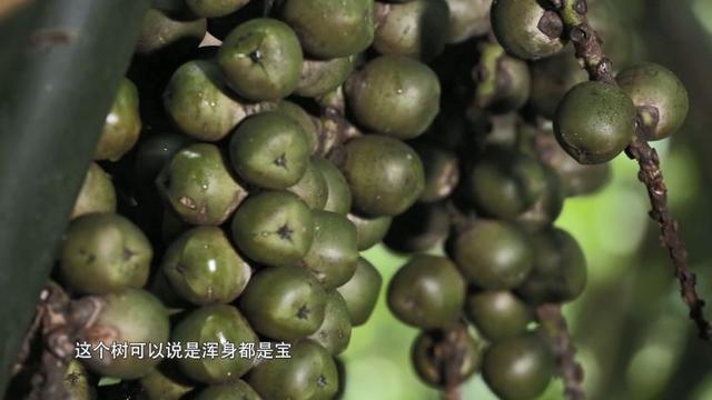 贵州大明边城旅游攻略，足不出户云旅游