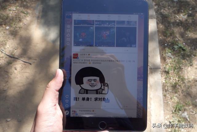 苹果mini5，苹果ipadmini5全新