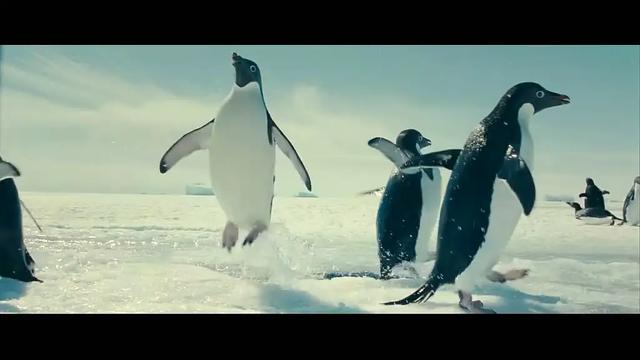海洋世界纪录片，海洋深度探索纪录片
