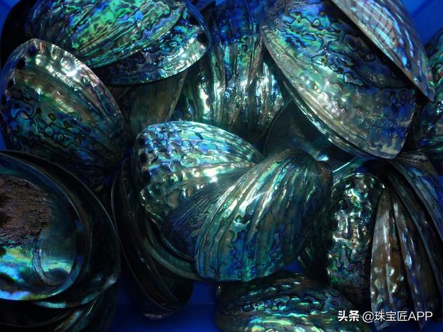 女王贝是什么宝石，贝壳首饰的颜色（珠宝首饰、钟表类目管理规则丨鸿石）