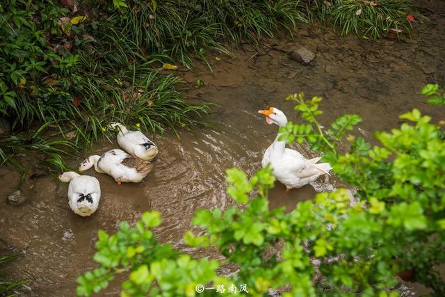 潇湘八景陶渊明，陶渊明笔下的世外桃源
