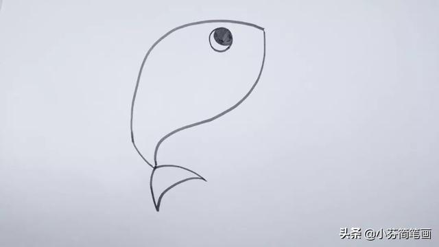 大鲨鱼简笔画简单又好看，海里最凶猛的大白鲨绘画步骤