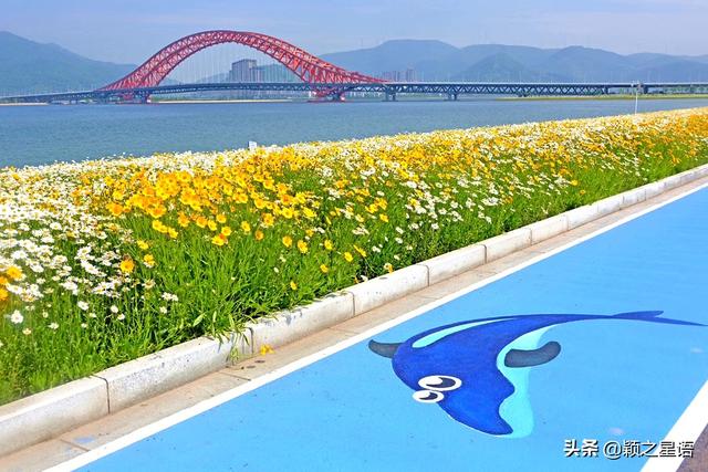 福泉山国家公园，福泉山风车公路