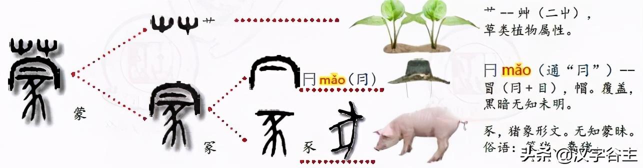 豕的由来，豕的由来（从豕字到