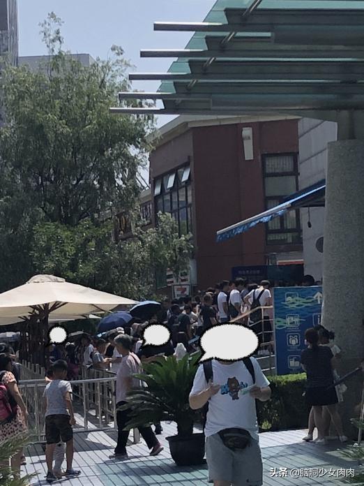 上海海洋水族馆，上海海洋水族馆简介（上海海洋水族馆之旅暨神奇鱼类在哪里）