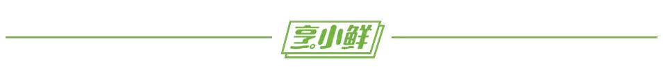 神犬小七第三部，姜潮宋妍霏携手萌娃救援现场展实力