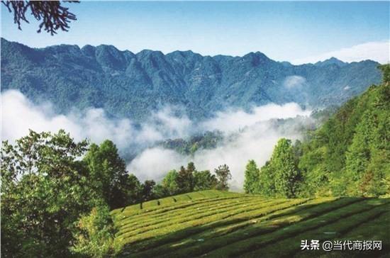 石门一日游景点，湖南石门县白云山国有林场旅行攻略