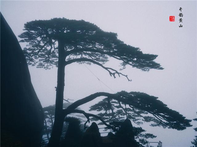 安徽黄山景点旅游攻略图文并茂，黄山超全旅游路线宝典