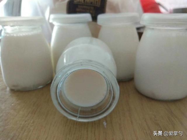  牛奶炖鱼胶放点什么好，家有鱼胶可以试试这样做