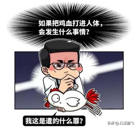 打鸡血是什么意思，每天都在打鸡血是什么意思（“鸡娃”鸡出个啥未来）