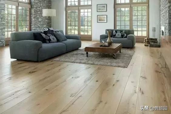 橡木相关知识，记得收藏这篇文章备用