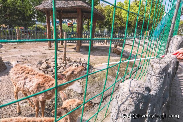 安吉旅游必去的景点，安吉旅游攻略必去景点推荐