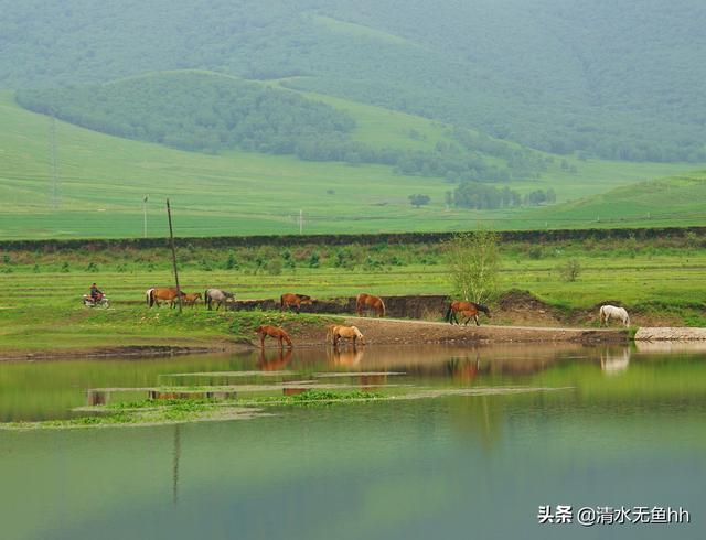 京北第一天路草原最佳游览，你在千松坝御风自驾