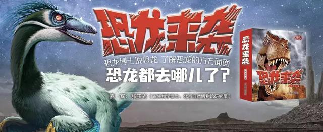 关于恐龙的10个秘密，让孩子了解恐龙的方方面面
