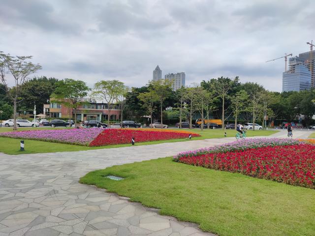 广州最适合去的公园，广州十个必打卡公园<免费篇>