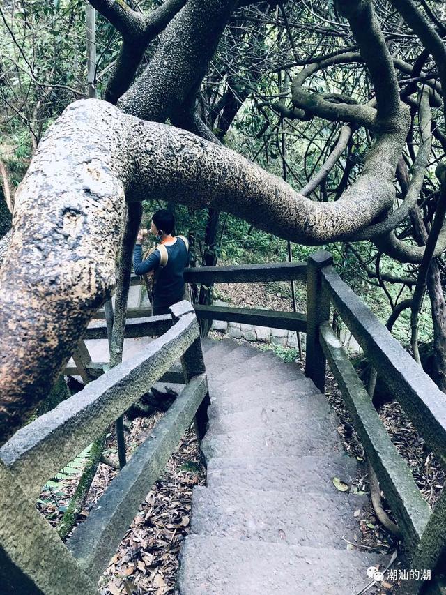 闽北之行武夷山一线天，武夷山旅记（武夷山：我家最窄仅30厘米）