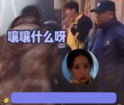 李梦为什么不演白鹿原，白鹿原电视剧组为什么换掉李梦