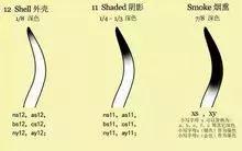 缅因猫价格，英短银渐层