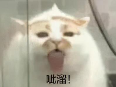 送男朋友什么礼物最难忘,送男朋友什么礼物最有意义