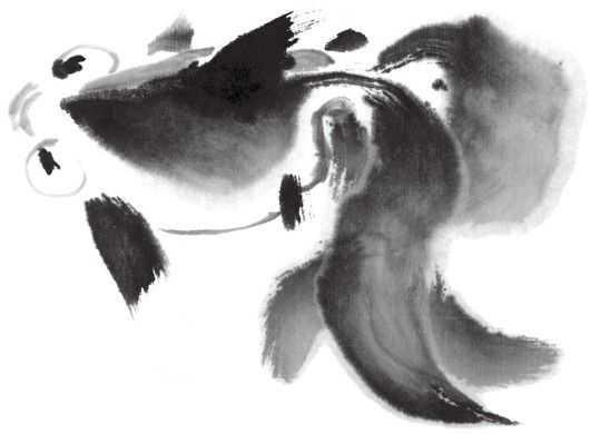 国画金鱼的画法步骤简单，张素贞老师的国画金鱼的详细过程图