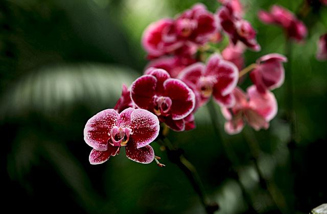 山中留客诗词欣赏，原创诗词杜明新