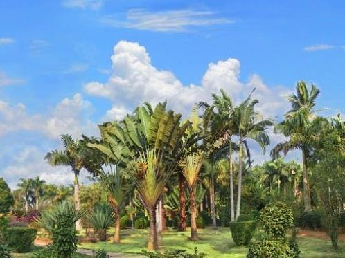 湛江哪里好玩的景点推荐，湛江旅游必去十大景点排名（这19个景点不容错过）