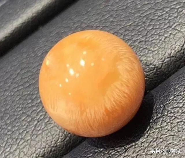 砗磲和白蝶贝，你只知道贝王砗磲