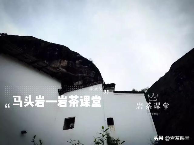 马头岩肉桂特点，既然三坑两涧里没有马头岩