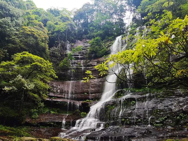 寻找成都有萤火虫的地方，第一波萤火虫高峰期来了