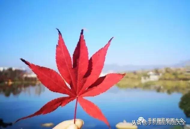 手机摄影技巧大全，干货18个不得不学的手机摄影技巧