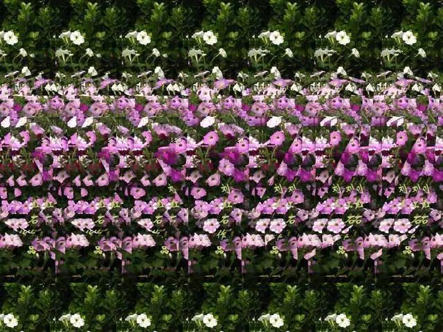 三维立体画图片，挑战一下非常神奇的三维立体画（最震撼的三维立体画）