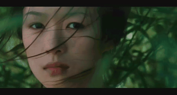 章子怡卧虎藏龙，章子怡的卧虎藏龙简介