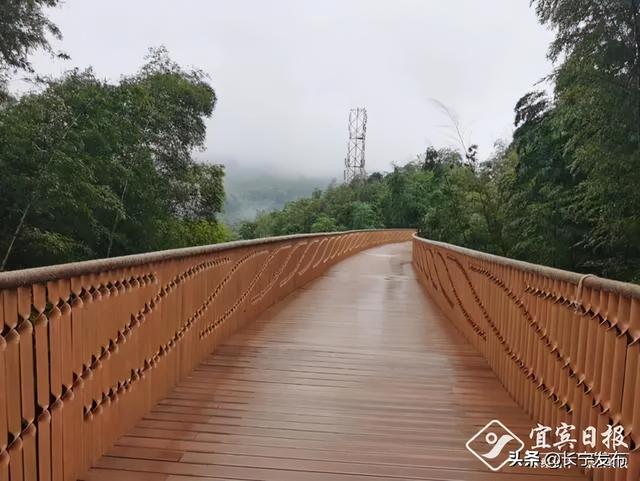竹海生态旅游景区介绍，到绿水青山的蜀南竹海“走一遭”吧