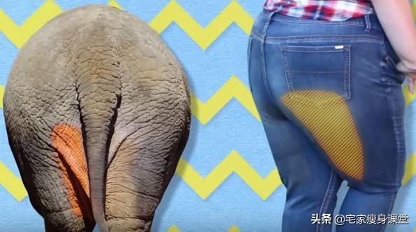 能最快瘦腿的运动，5个最有效的瘦腿运动