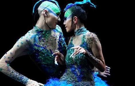 杨丽萍为什么总戴帽子，杨丽萍为什么戴帽子十年