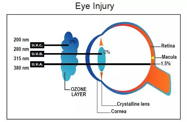 夏天墨镜选防紫外线还是偏光，太阳镜怎么选防晒又不伤眼