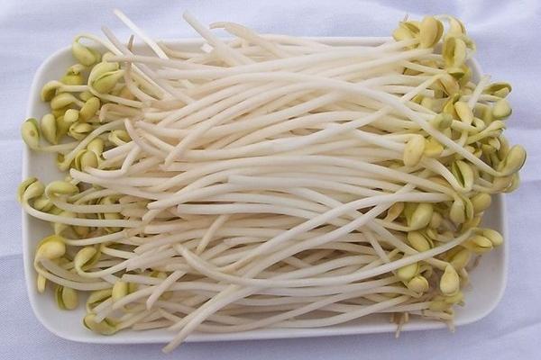 黄豆芽的做法大全，自己在家也可以生豆芽了（豆芽的做法大全黄豆芽）