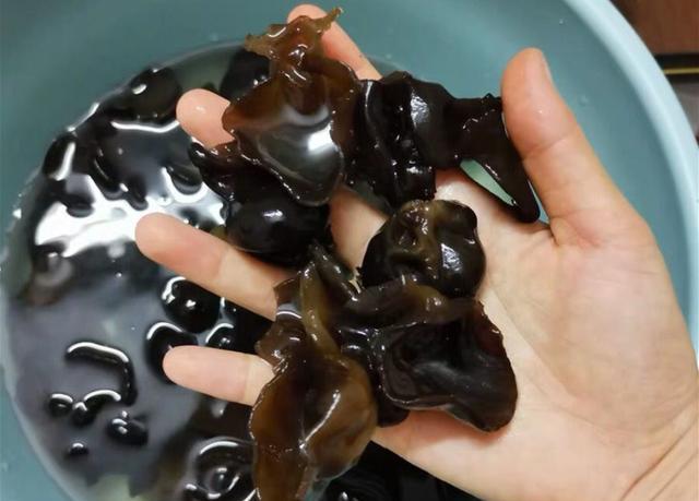泡木耳最快的方法，快速泡发木耳方法窍门（泡木耳10个人9个错）